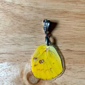 Real butterfly wing pendant!🦋
